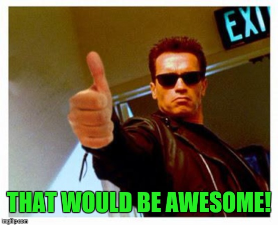 terminator thumbs up | THAT WOULD BE AWESOME! | image tagged in terminator thumbs up | made w/ Imgflip meme maker