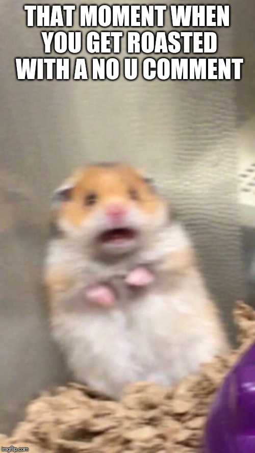 Surprised hamster | THAT MOMENT WHEN YOU GET ROASTED WITH A NO U COMMENT | image tagged in surprised hamster | made w/ Imgflip meme maker