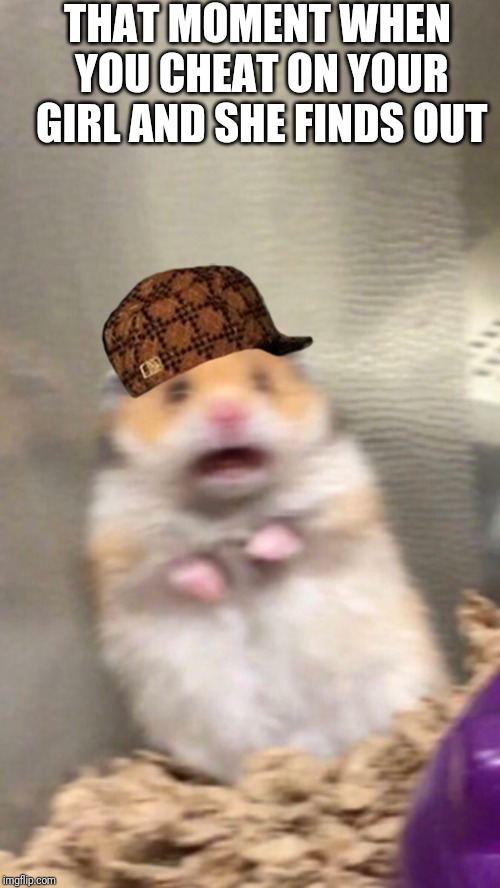Surprised hamster | THAT MOMENT WHEN YOU CHEAT ON YOUR GIRL AND SHE FINDS OUT | image tagged in surprised hamster | made w/ Imgflip meme maker