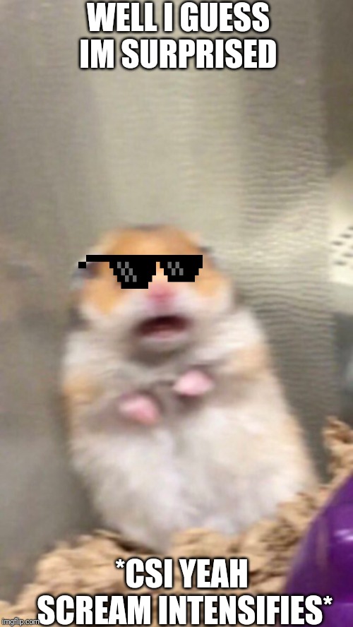 Surprised hamster | WELL I GUESS IM SURPRISED; *CSI YEAH SCREAM INTENSIFIES* | image tagged in surprised hamster | made w/ Imgflip meme maker