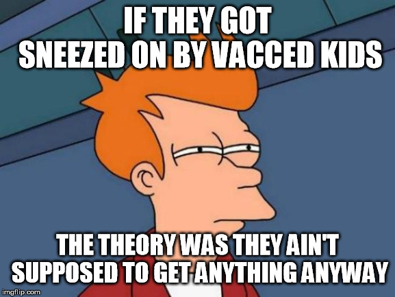 Futurama Fry Meme | IF THEY GOT SNEEZED ON BY VACCED KIDS THE THEORY WAS THEY AIN'T SUPPOSED TO GET ANYTHING ANYWAY | image tagged in memes,futurama fry | made w/ Imgflip meme maker