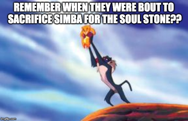 Lion King Cub | REMEMBER WHEN THEY WERE BOUT TO SACRIFICE SIMBA FOR THE SOUL STONE?? | image tagged in lion king cub | made w/ Imgflip meme maker
