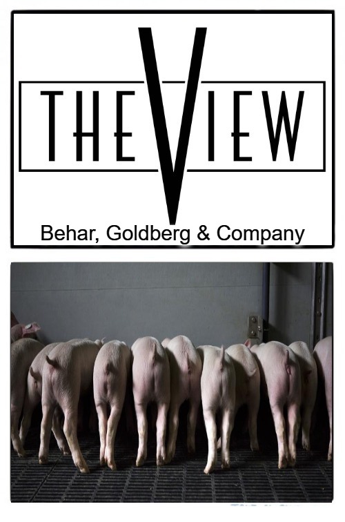 Behar, Goldberg, & Company | Behar, Goldberg & Company | image tagged in the view,swine,joy behar,whoopi goldberg,sows,bacon week is coming | made w/ Imgflip meme maker