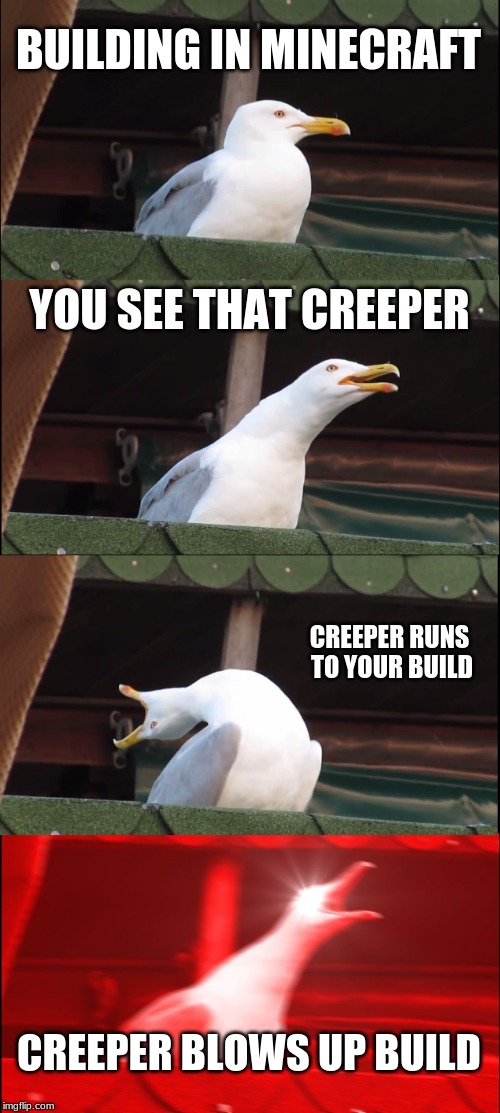 I HATE CREEPERS | BUILDING IN MINECRAFT; YOU SEE THAT CREEPER; CREEPER RUNS TO YOUR BUILD; CREEPER BLOWS UP BUILD | image tagged in memes,inhaling seagull | made w/ Imgflip meme maker