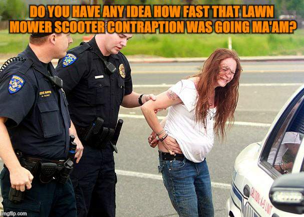 White Trash Problems | DO YOU HAVE ANY IDEA HOW FAST THAT LAWN MOWER SCOOTER CONTRAPTION WAS GOING MA'AM? | image tagged in white trash problems | made w/ Imgflip meme maker