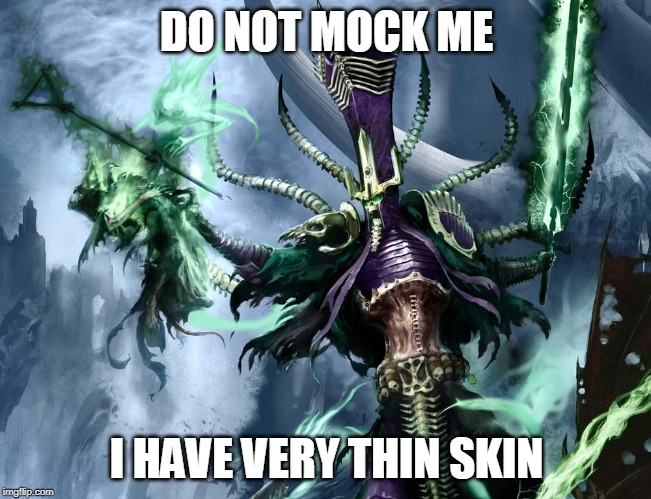 DO NOT MOCK ME; I HAVE VERY THIN SKIN | made w/ Imgflip meme maker