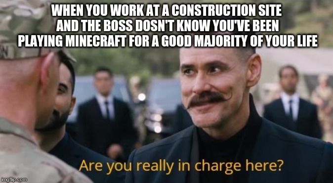 Are you really in charge here? | WHEN YOU WORK AT A CONSTRUCTION SITE AND THE BOSS DOESN'T KNOW YOU'VE BEEN PLAYING MINECRAFT FOR A GOOD MAJORITY OF YOUR LIFE | image tagged in are you really in charge here | made w/ Imgflip meme maker