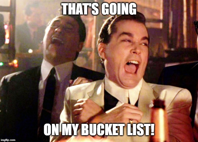 Good Fellas Hilarious Meme | THAT'S GOING ON MY BUCKET LIST! | image tagged in memes,good fellas hilarious | made w/ Imgflip meme maker
