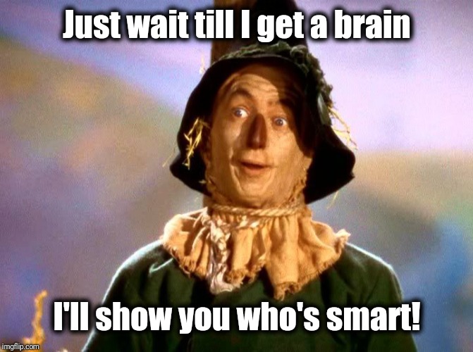Just wait till I get a brain I'll show you who's smart! | made w/ Imgflip meme maker