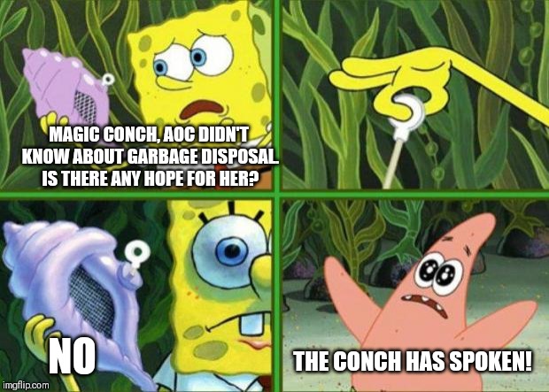 Magic Conch | MAGIC CONCH, AOC DIDN'T KNOW ABOUT GARBAGE DISPOSAL. IS THERE ANY HOPE FOR HER? NO; THE CONCH HAS SPOKEN! | image tagged in magic conch,politics,spongebob,memes | made w/ Imgflip meme maker