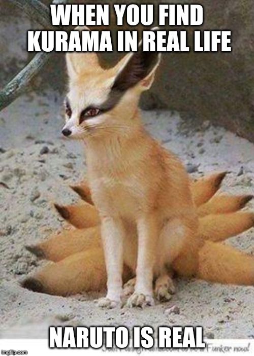 naruto | WHEN YOU FIND KURAMA IN REAL LIFE; NARUTO IS REAL | image tagged in naruto | made w/ Imgflip meme maker