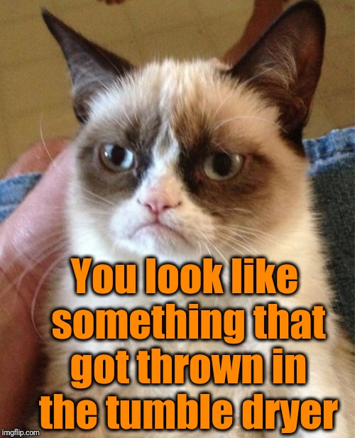 Grumpy Cat Meme | You look like something that got thrown in the tumble dryer | image tagged in memes,grumpy cat | made w/ Imgflip meme maker