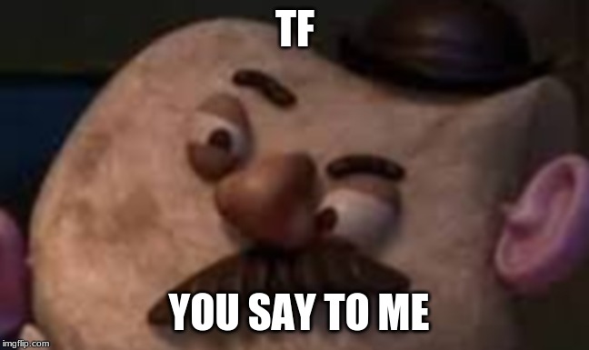 TF; YOU SAY TO ME | image tagged in mr potato head | made w/ Imgflip meme maker