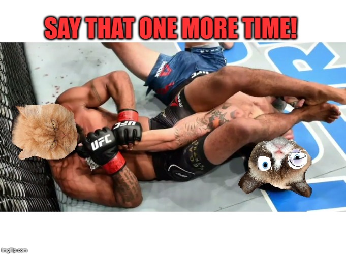 Angry cat vs grumpy cat | SAY THAT ONE MORE TIME! | image tagged in angry cat vs grumpy cat | made w/ Imgflip meme maker
