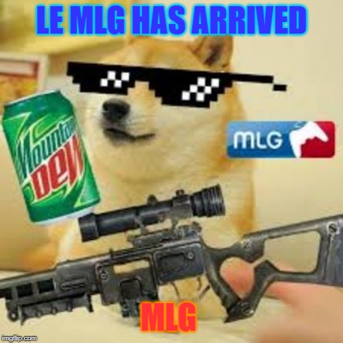 MLG DOGE DA GOD | LE MLG HAS ARRIVED; MLG | image tagged in mlg doge da god | made w/ Imgflip meme maker