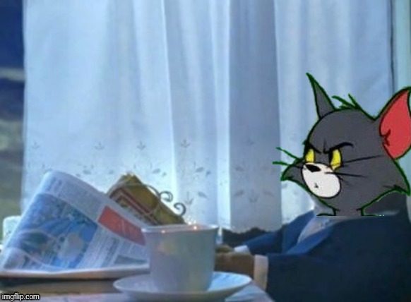 I should buy a trap cat | image tagged in memes,i should buy a boat cat,tom and jerry | made w/ Imgflip meme maker
