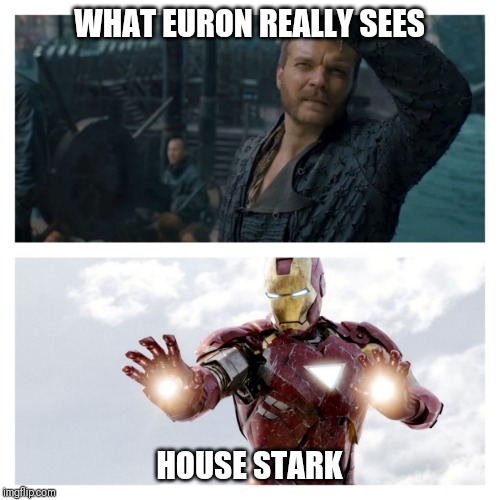 House stark | WHAT EURON REALLY SEES; HOUSE STARK | image tagged in game of thrones,marvel,iron man | made w/ Imgflip meme maker