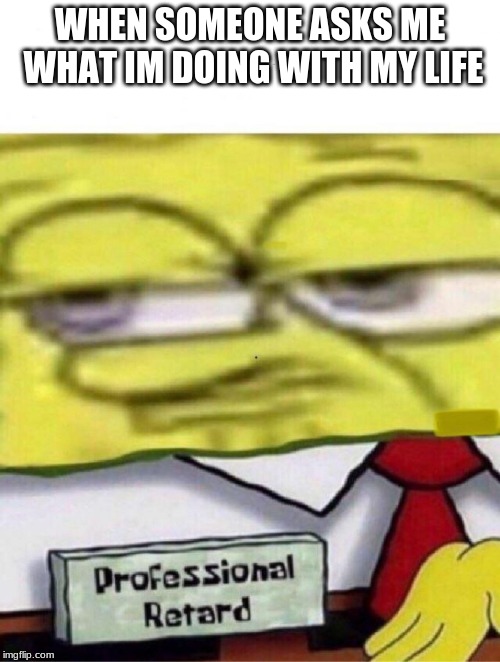 Spongebob professional retard | WHEN SOMEONE ASKS ME WHAT IM DOING WITH MY LIFE | image tagged in spongebob professional retard | made w/ Imgflip meme maker