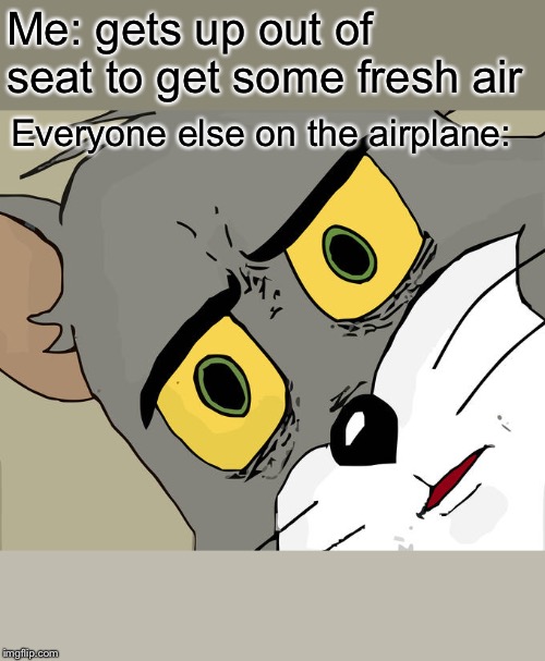 Unsettled Tom Meme | Me: gets up out of seat to get some fresh air; Everyone else on the airplane: | image tagged in memes,unsettled tom,airplane,airplanes | made w/ Imgflip meme maker