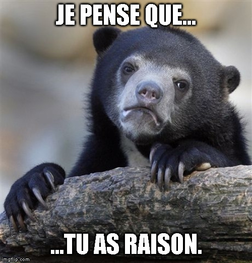 Confession Bear Meme | JE PENSE QUE... ...TU AS RAISON. | image tagged in memes,confession bear | made w/ Imgflip meme maker