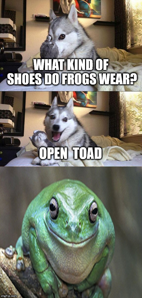 Bad Pun Frog | WHAT KIND OF SHOES DO FROGS WEAR? OPEN  TOAD | image tagged in memes,bad pun dog | made w/ Imgflip meme maker