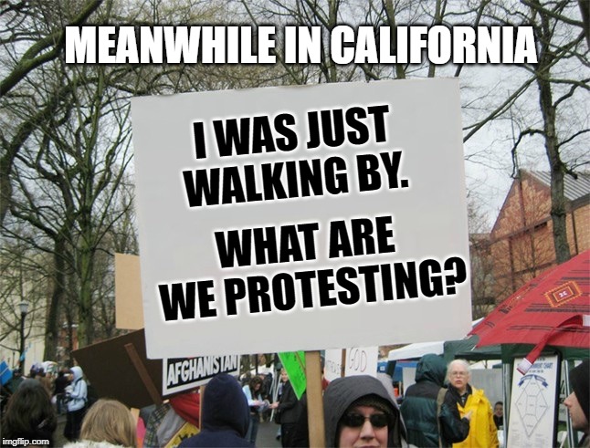 Blank protest sign | MEANWHILE IN CALIFORNIA; I WAS JUST WALKING BY. WHAT ARE WE PROTESTING? | image tagged in blank protest sign,california,memes,funny | made w/ Imgflip meme maker