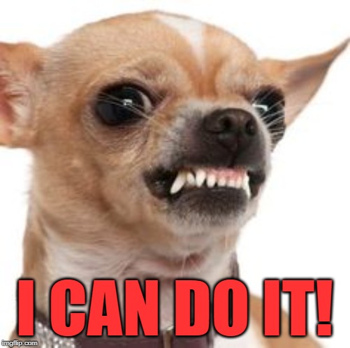 I CAN DO IT! | made w/ Imgflip meme maker
