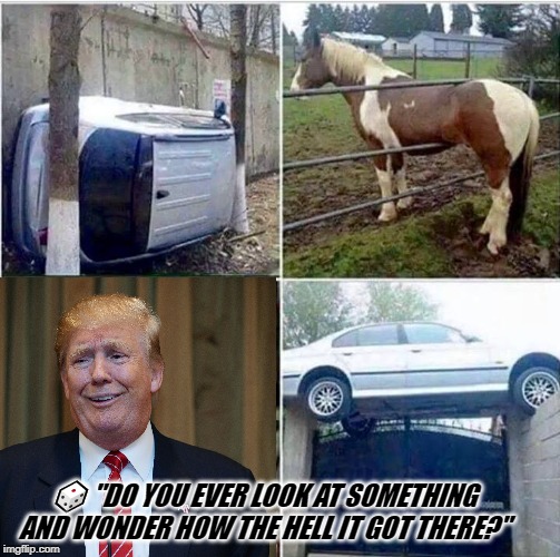 TRUMP WHAT? | 🎲 "DO YOU EVER LOOK AT SOMETHING AND WONDER HOW THE HELL IT GOT THERE?" | image tagged in trump what | made w/ Imgflip meme maker