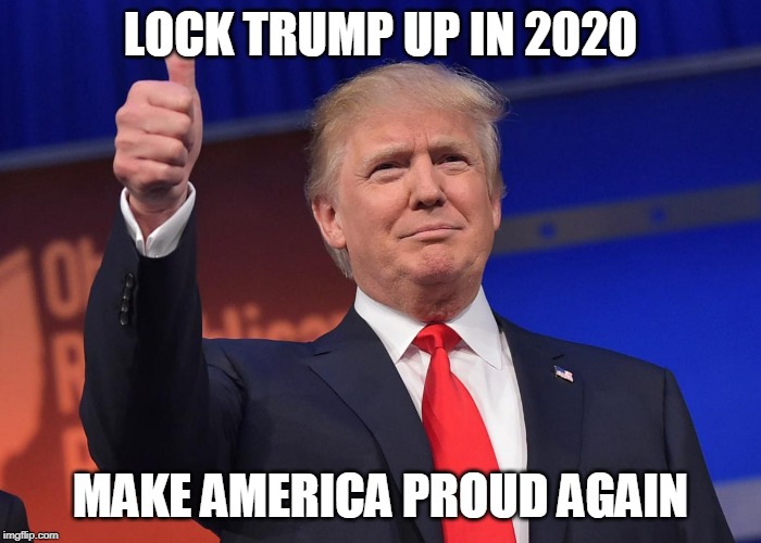donald trump | LOCK TRUMP UP IN 2020; MAKE AMERICA PROUD AGAIN | image tagged in donald trump | made w/ Imgflip meme maker