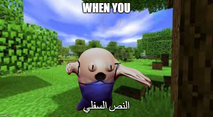 WHEN YOU; النص السفلي | image tagged in memes | made w/ Imgflip meme maker