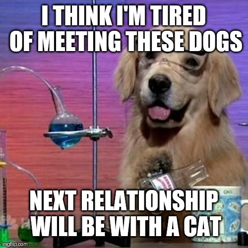 Jroc113 | I THINK I'M TIRED OF MEETING THESE DOGS; NEXT RELATIONSHIP WILL BE WITH A CAT | image tagged in i have no idea what i am doing dog | made w/ Imgflip meme maker