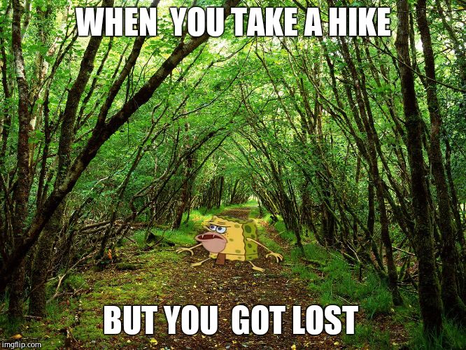 Spongegar Forest | WHEN  YOU TAKE A HIKE; BUT YOU  GOT LOST | image tagged in spongegar forest | made w/ Imgflip meme maker