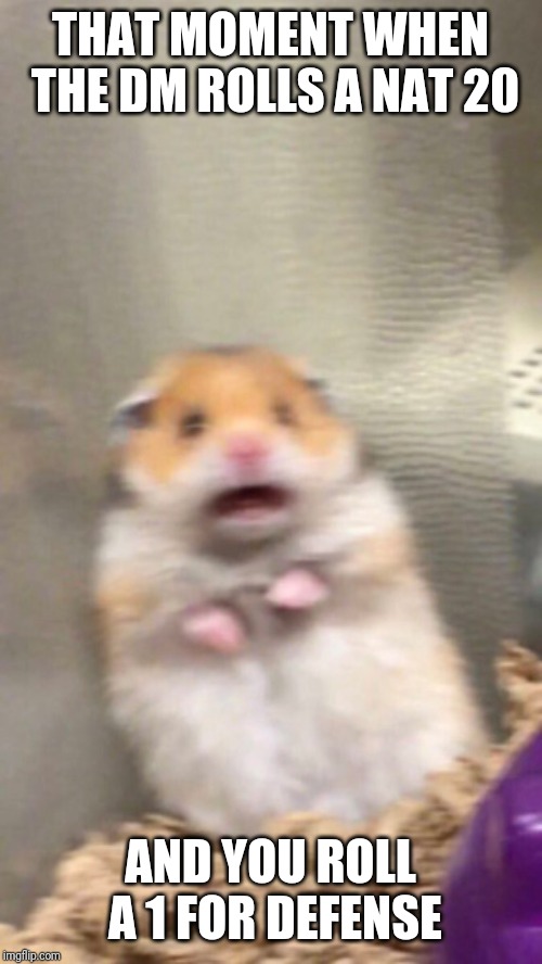 Surprised hamster | THAT MOMENT WHEN THE DM ROLLS A NAT 20; AND YOU ROLL A 1 FOR DEFENSE | image tagged in surprised hamster | made w/ Imgflip meme maker