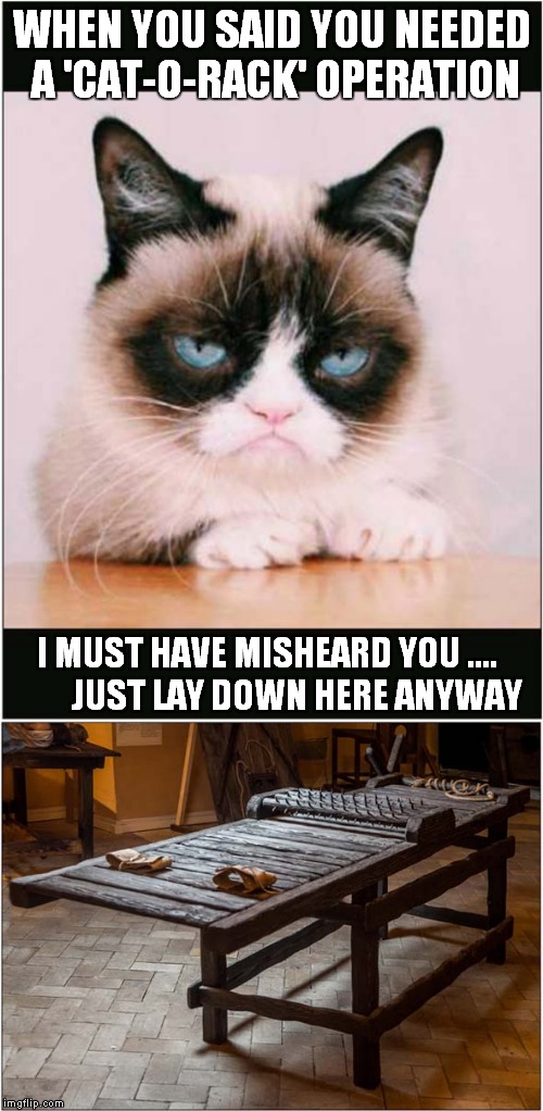 Grumpys Cat-O-Rack Operation | WHEN YOU SAID YOU NEEDED A 'CAT-O-RACK' OPERATION; I MUST HAVE MISHEARD YOU ....         JUST LAY DOWN HERE ANYWAY | image tagged in cats,grumpy cat | made w/ Imgflip meme maker