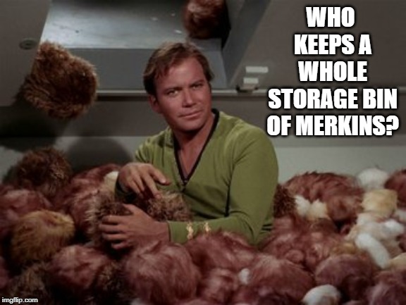 Captain Kirk Wonders... | WHO KEEPS A WHOLE STORAGE BIN OF MERKINS? | image tagged in captain kirk | made w/ Imgflip meme maker