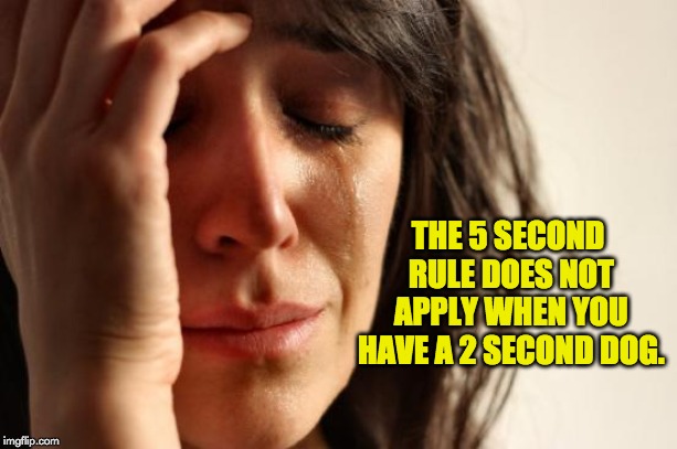 First World Problems Meme | ‪THE 5 SECOND RULE DOES NOT APPLY WHEN YOU HAVE A 2 SECOND DOG. | image tagged in memes,first world problems | made w/ Imgflip meme maker