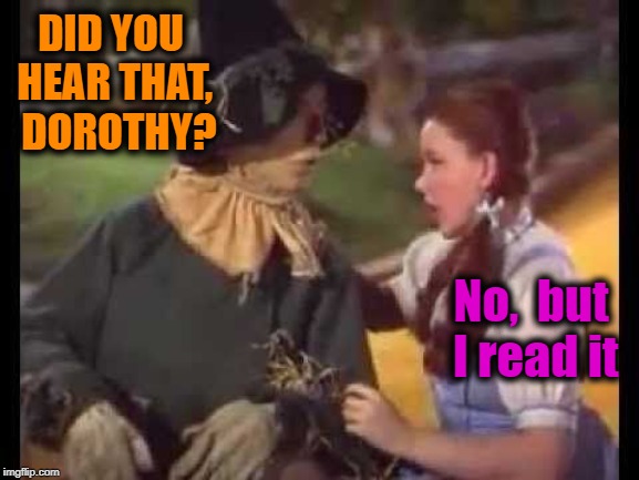 DID YOU HEAR THAT,  DOROTHY? No,  but I read it | made w/ Imgflip meme maker