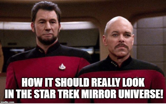 Mirror Mirror... | HOW IT SHOULD REALLY LOOK IN THE STAR TREK MIRROR UNIVERSE! | image tagged in star trek,riker,picard | made w/ Imgflip meme maker