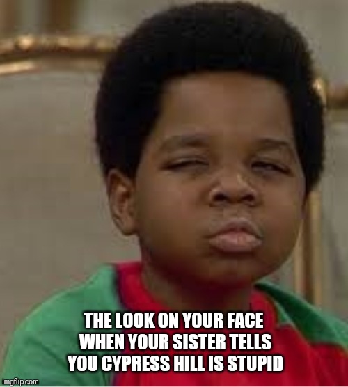 THE LOOK ON YOUR FACE WHEN YOUR SISTER TELLS YOU CYPRESS HILL IS STUPID | image tagged in arnold | made w/ Imgflip meme maker