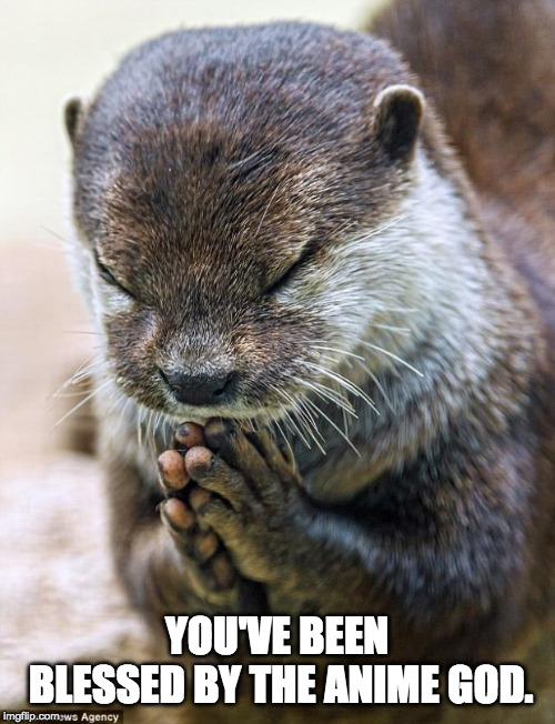 Thank you Lord Otter | YOU'VE BEEN BLESSED BY THE ANIME GOD. | image tagged in thank you lord otter | made w/ Imgflip meme maker