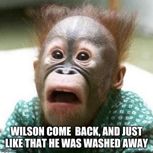 Shocked Monkey | WILSON COME  BACK, AND JUST LIKE THAT HE WAS WASHED AWAY | image tagged in shocked monkey | made w/ Imgflip meme maker