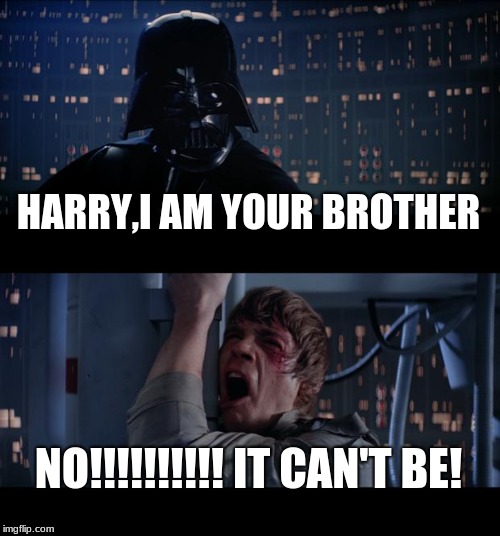 Voldemort explains to Harry Potter that he is his brother | HARRY,I AM YOUR BROTHER; NO!!!!!!!!!! IT CAN'T BE! | image tagged in memes,star wars no | made w/ Imgflip meme maker