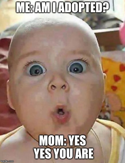 Super-surprised baby | ME: AM I ADOPTED? MOM: YES YES YOU ARE | image tagged in super-surprised baby | made w/ Imgflip meme maker