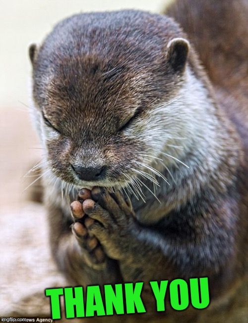 Thank you Lord Otter | THANK YOU | image tagged in thank you lord otter | made w/ Imgflip meme maker