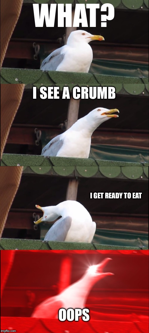 Bread crumb | WHAT? I SEE A CRUMB; I GET READY TO EAT; OOPS | image tagged in memes,inhaling seagull,bread crumbs,oops | made w/ Imgflip meme maker