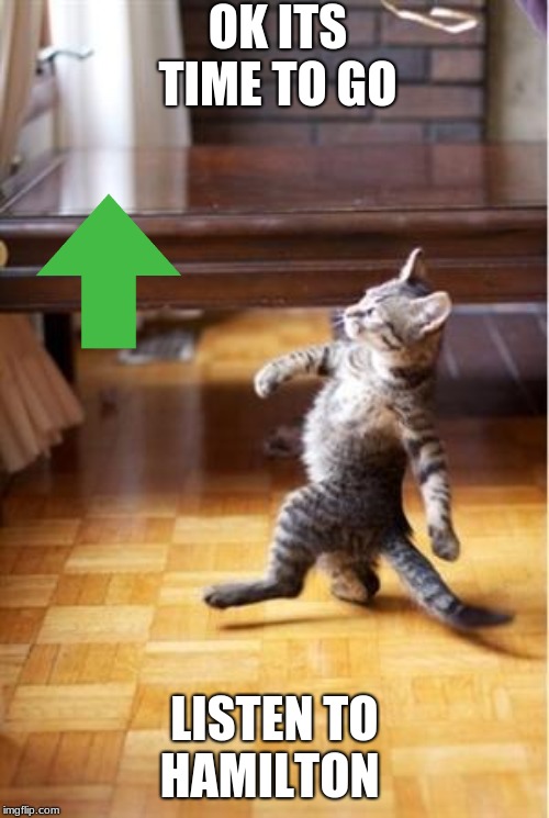 Walking Cat | OK ITS TIME TO GO; LISTEN TO HAMILTON | image tagged in walking cat | made w/ Imgflip meme maker