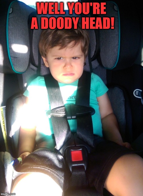 angry child | WELL YOU'RE A DOODY HEAD! | image tagged in angry child | made w/ Imgflip meme maker