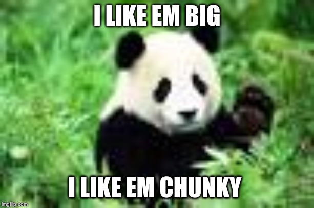 I LIKE EM BIG; I LIKE EM CHUNKY | image tagged in memes | made w/ Imgflip meme maker