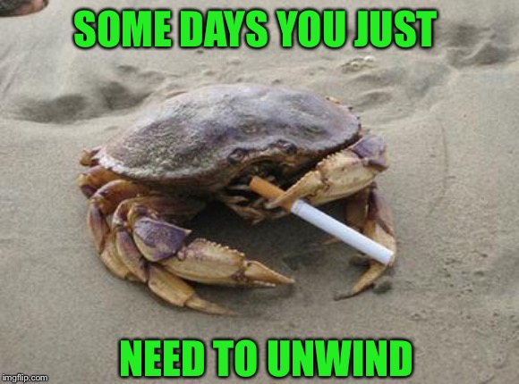 you try being crabby all the time | SOME DAYS YOU JUST; NEED TO UNWIND | image tagged in humor,joke,funny | made w/ Imgflip meme maker