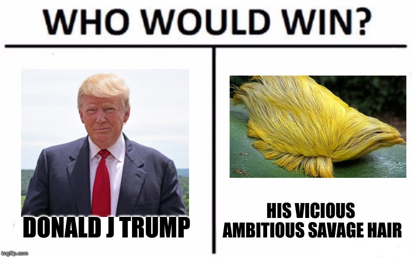 Who Would Win? | HIS VICIOUS AMBITIOUS SAVAGE HAIR; DONALD J TRUMP | image tagged in memes,who would win | made w/ Imgflip meme maker